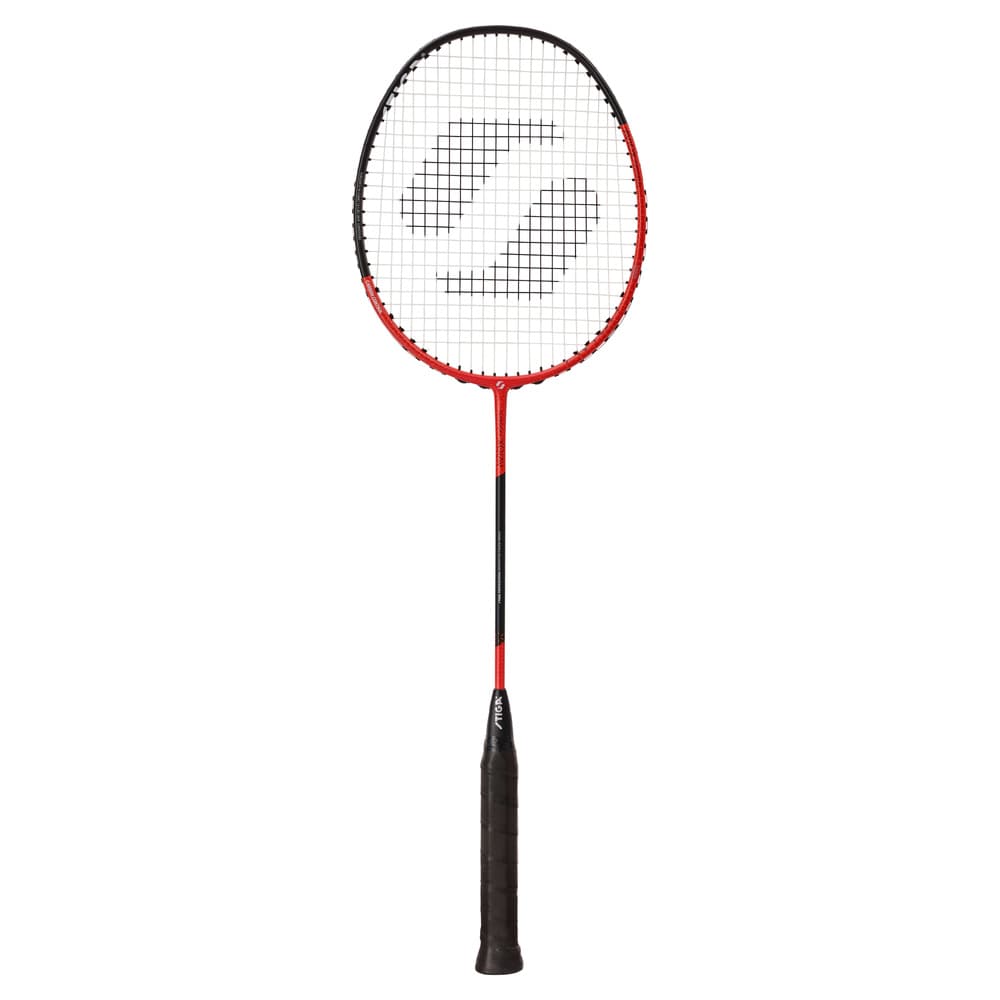 5040_40911c03fc-badminton-racket-aviox-progress-5202-0115-04-1-3-1-full